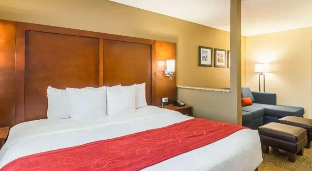Одноместный номер Standard Comfort Suites Grayslake near Libertyville North