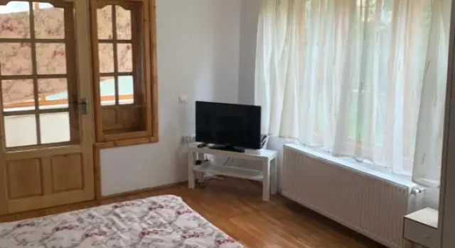 Vila Busteni DORA, locatie superba strada Grivitei 36