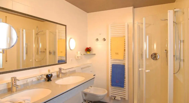 Номер Standard Kneipp- und Wellvitalhotel Edelweiss