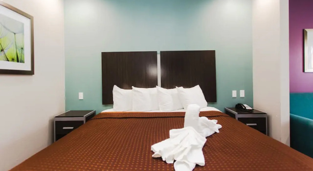 Standard Doppel Suite Express Inn - Spring