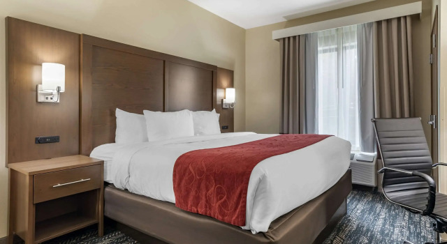 Двухместный люкс Comfort Inn & Suites Downtown near University