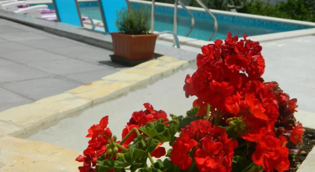 Апартаменты Apartments PERIC