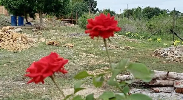 RMB GUEST HOUSE, Забронировать Гостевой дом Гостевые дома Siquijor Island, недорого, Гостевой дом