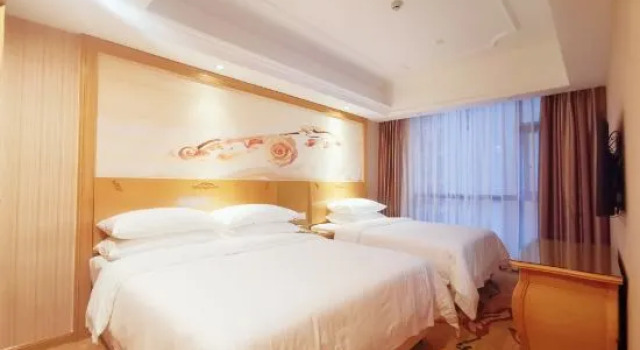 Семейный люкс Vienna International Hotel (Yulin rongzhou bridge railway station shop )