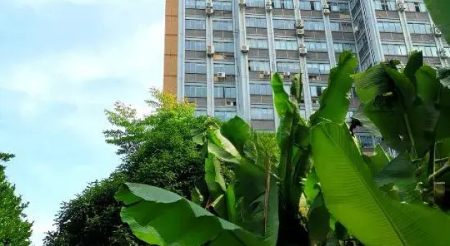 YFT Hotel (Haichang South Road Yintaicheng Branch)