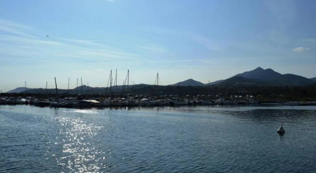 Appartement Argelès-sur-Mer, 2 pièces, 6 personnes - FR-1-225-464