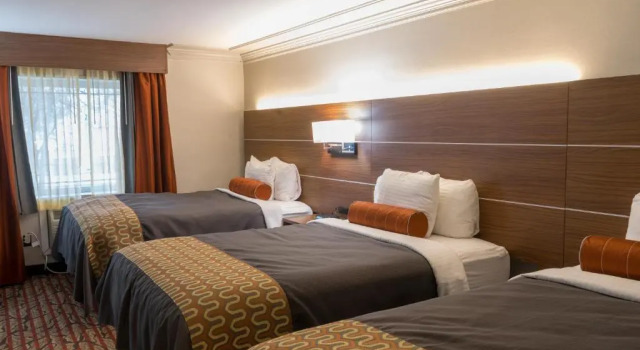 Двухместный семейный номер Standard Kalika Hotel
