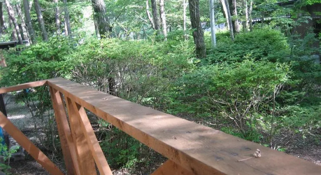 Номер Standard Nasu Onsen Nasu Village