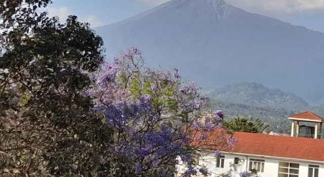 Номер Standard Boulevard Inn Mt Meru