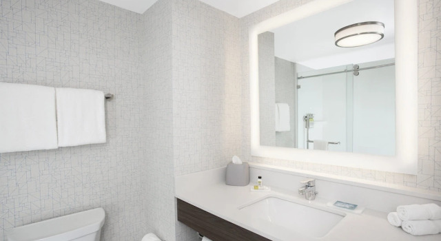 Двухместный люкс Holiday Inn Express & Suites Downtown Ottawa East by IHG
