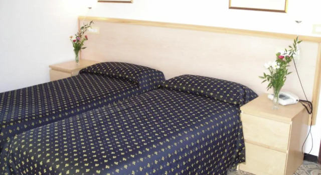 Трёхместный номер Standard Hotel Delle Mimose