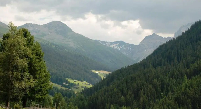 Шале Chalet Sunnäschyn