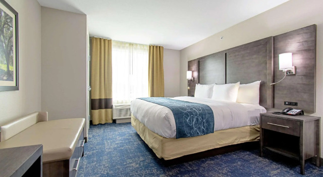 Двухместный люкс Comfort Suites Humble Houston IAH