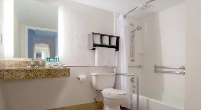Люкс Standard Holiday Inn Express Hotel & Suites Spence Lane by IHG