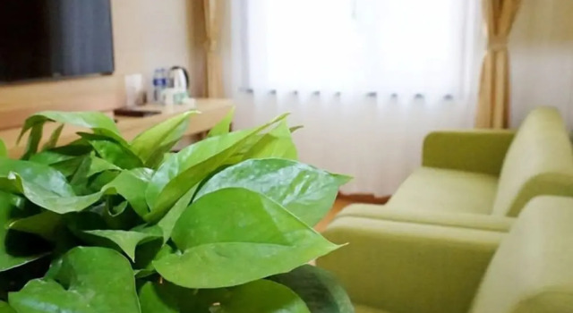 Семейный номер Standard GreenTree Inn Langfang GuAn County Xinyuan Street Express Hotel