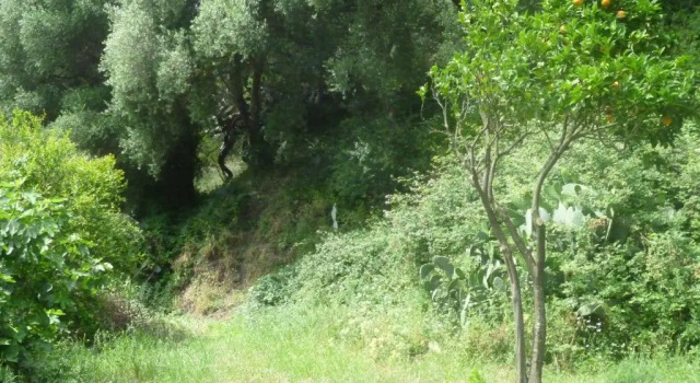 Коттедж Camino del Castillo