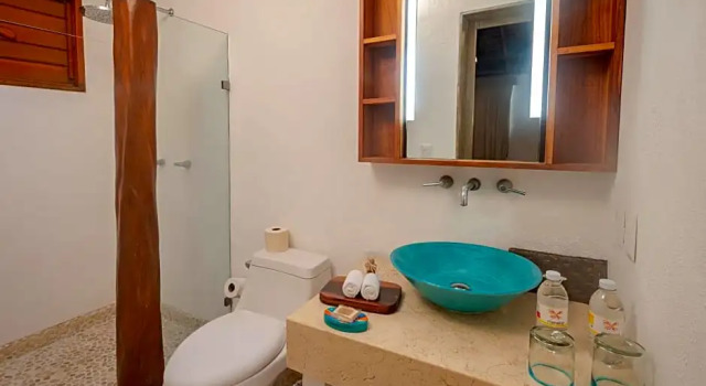 Двухместный номер Palapa с видом на океан Mahekal Beach Front Resort & Spa