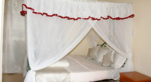 Standard Zimmer Lapset Hotel
