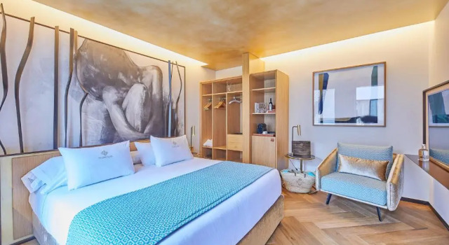 Полулюкс Superior Sa Creu Nova Petit Palais Art & Spa