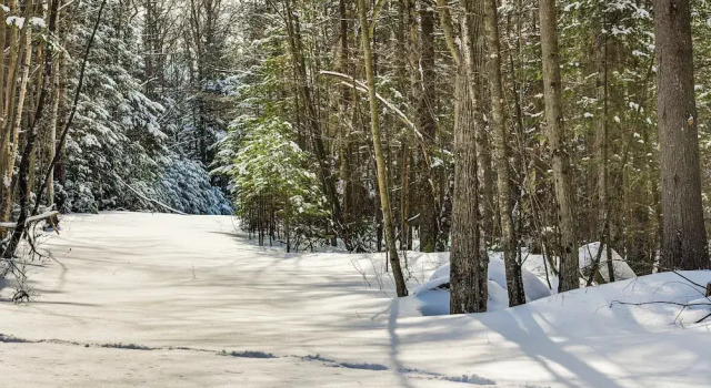 Secluded Home w/ Fire Pit, 8 Mi to Cannon Mountain, Rezervovat Hotel Betlém Cannon Mountain