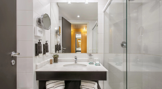 Двухместный номер Standard Meliá Campinas