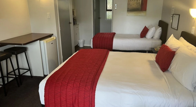 Студия Avenue Motel Palmerston North