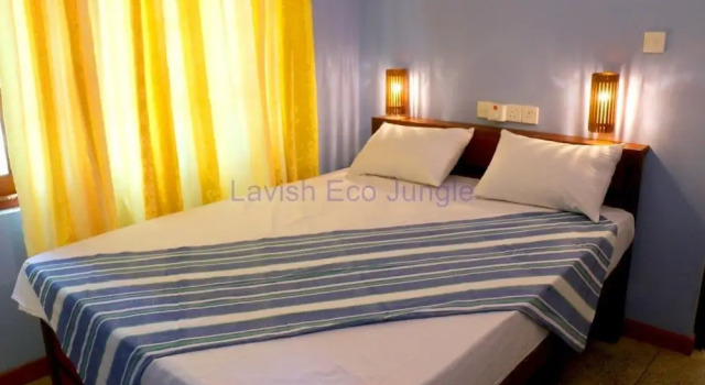 Двухместный номер Standard Lavish Eco Jungle