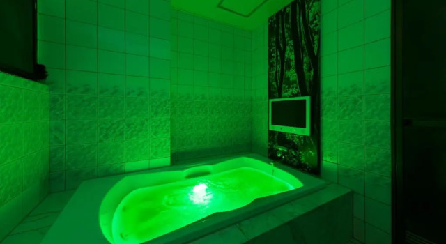 Номер Standard Hotel Plant Garden Resort