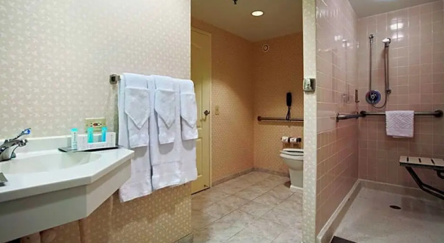 Люкс с балконом Hilton Suites Chicago/Oakbrook Terrace