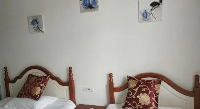Люкс Deluxe Lishui Huaxiang Qingyuan Homestay