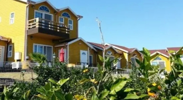 Jeju Healing House Pension