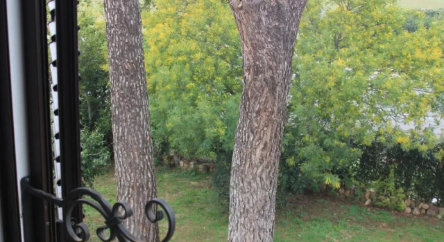 Двухместный номер Standard Agriturismo La Talpa