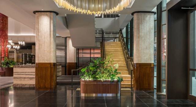 Номер Standard Kimpton Margot Sydney by IHG