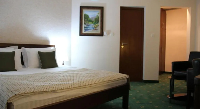 Студия Hotel Trebjesa