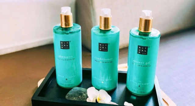 Двухместный номер Executive Novotel SPA Rennes Centre Gare