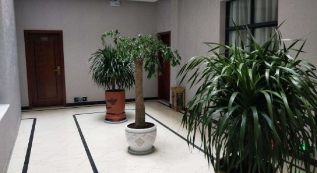 Shizong Yucheng Business Hotel, Rezerwuj Hotel Hotele w Qujing z parkingiem, Parking