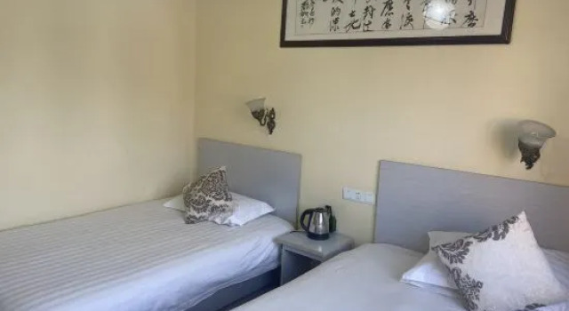 Люкс Chaji Jinling Zhijia