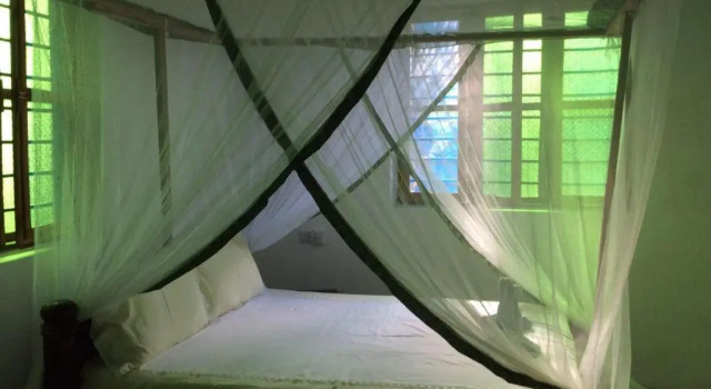 Discover the unique of Luis Holiday House no01, Забронировать Отель Джамбиани Zanzibar Central