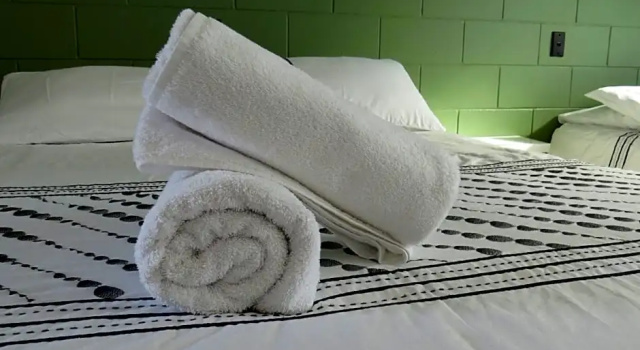Номер Comfort Kuirau Park Motor Lodge- Thermal Mineral pool