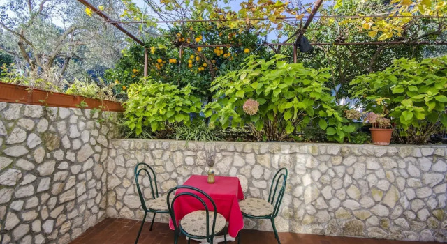 Апартаменты Apartments Dragica