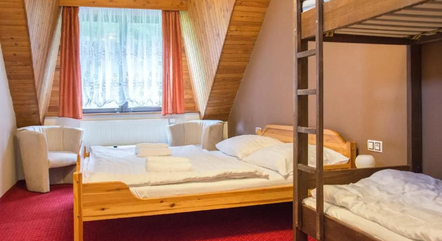 Семейный номер Standard Horský hotel Vidly