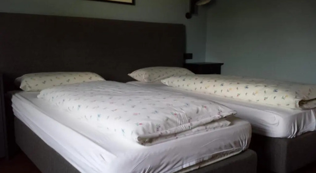 Трёхместный номер Standard Hotel Henry