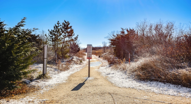 Steps to Brigantine Beach: New Jersey Beach Condo, Забронировать Апартаменты/квартира Бригантин Джерси-Шор