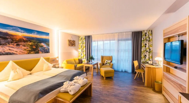 Двухместный номер Comfort Wellness- und Wohlfühlhotel Waldeck