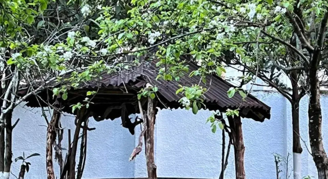 Gonio Sea Side, Book Hotel Gonio 