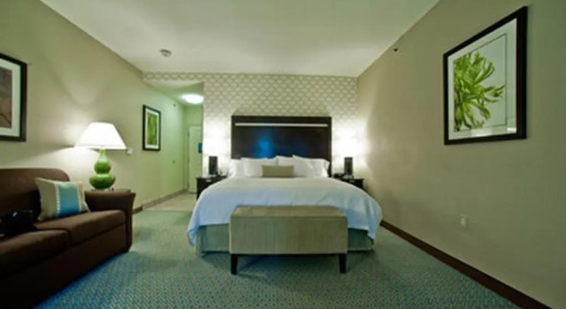 Номер Standard Hampton Inn & Suites Denison
