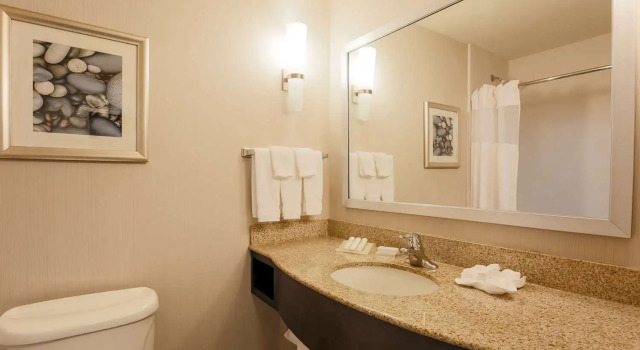 Четырёхместный номер Standard Hilton Garden Inn Nanuet