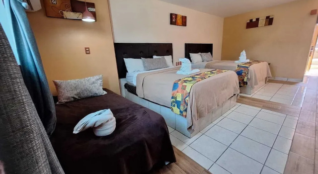 Номер Standard Hotel San Rafael