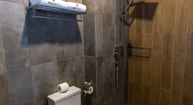 Трёхместный номер Standard Brown Hotel