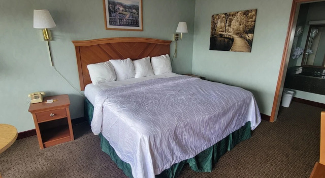 Двухместный номер Standard Downtown Inn